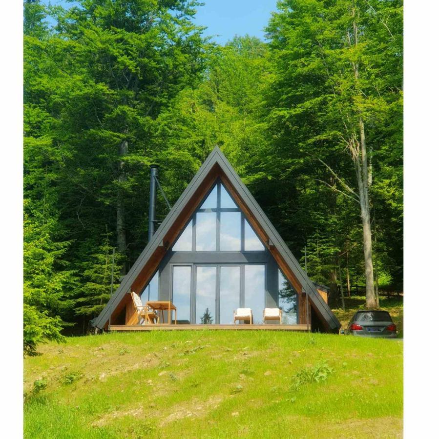 Vrleti Tare Villa Bajina Basta Exterior foto