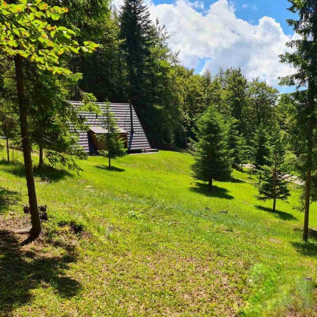 Vrleti Tare Villa Bajina Basta Exterior foto